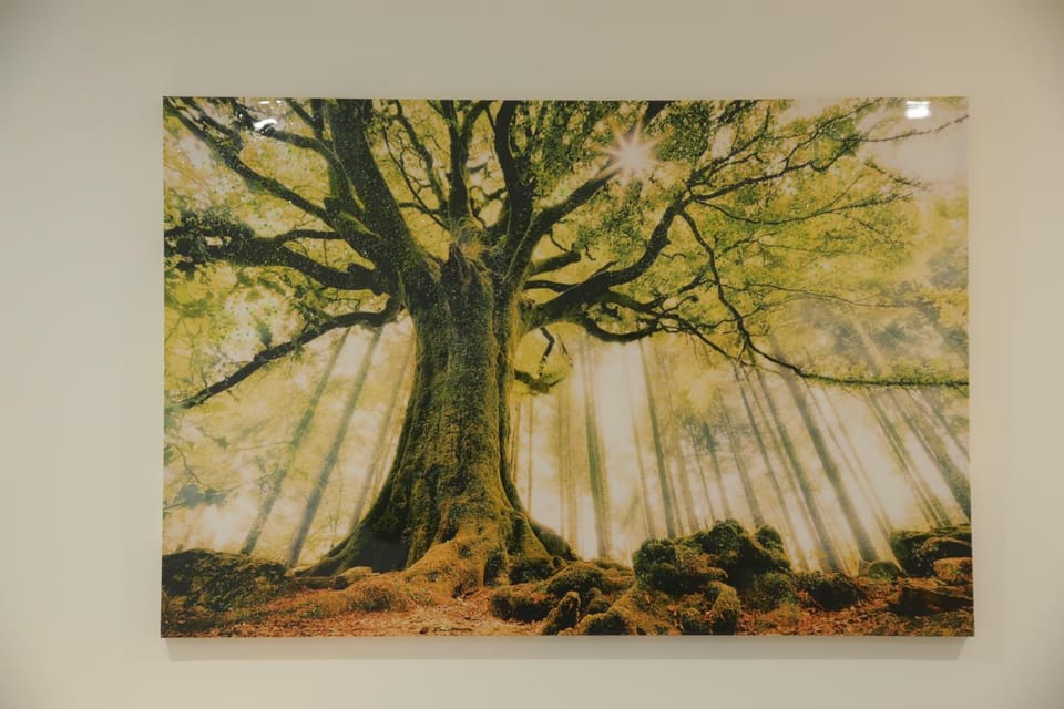 Natural landscape, Decorative detail