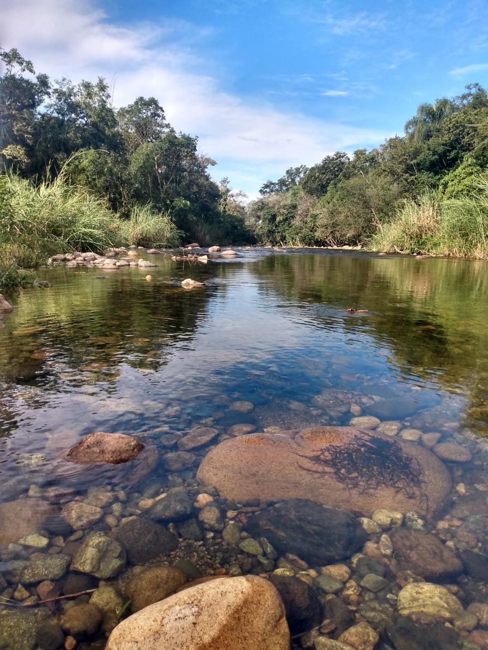 River view