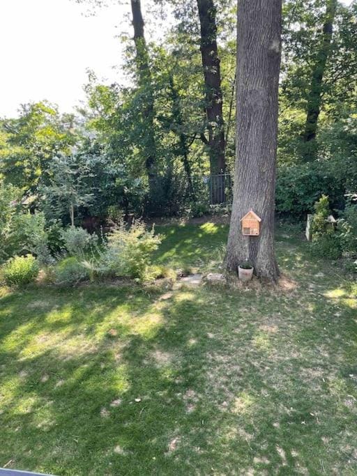 Appart très cosy en rez de jardin Apartment in Île-de-France