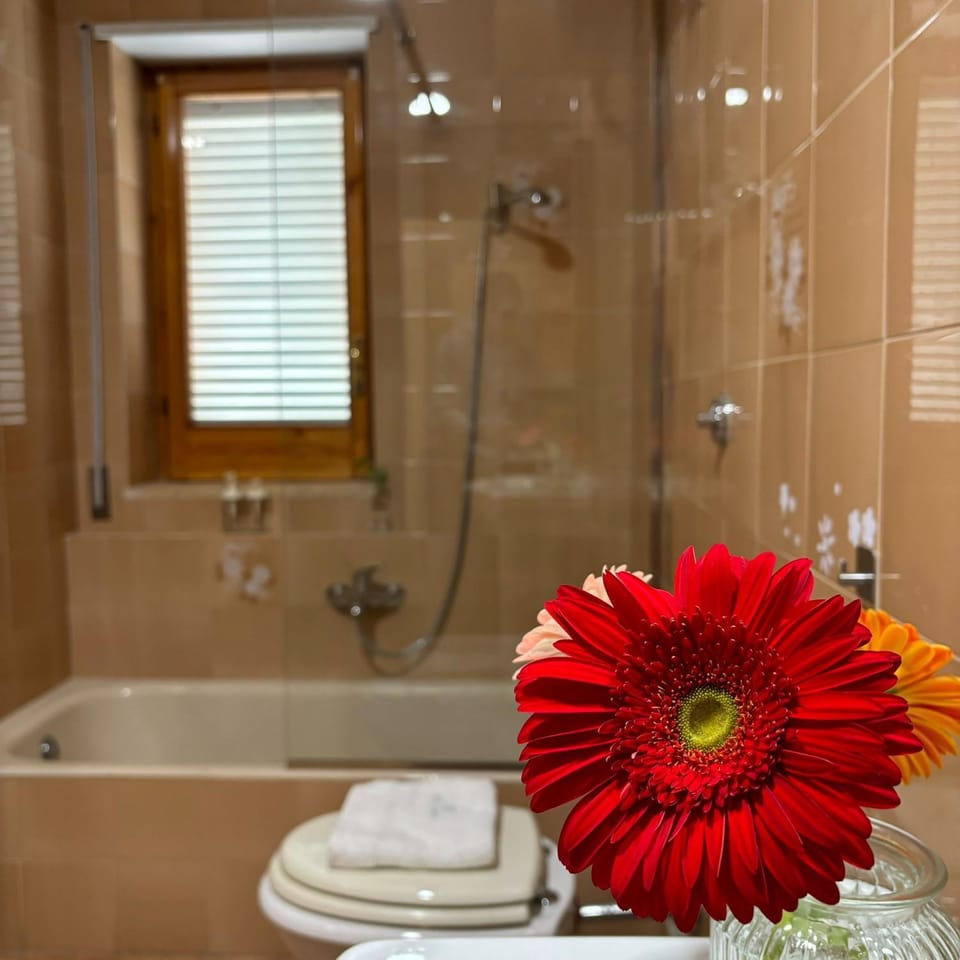 Shower, Bathroom, Bath, towels