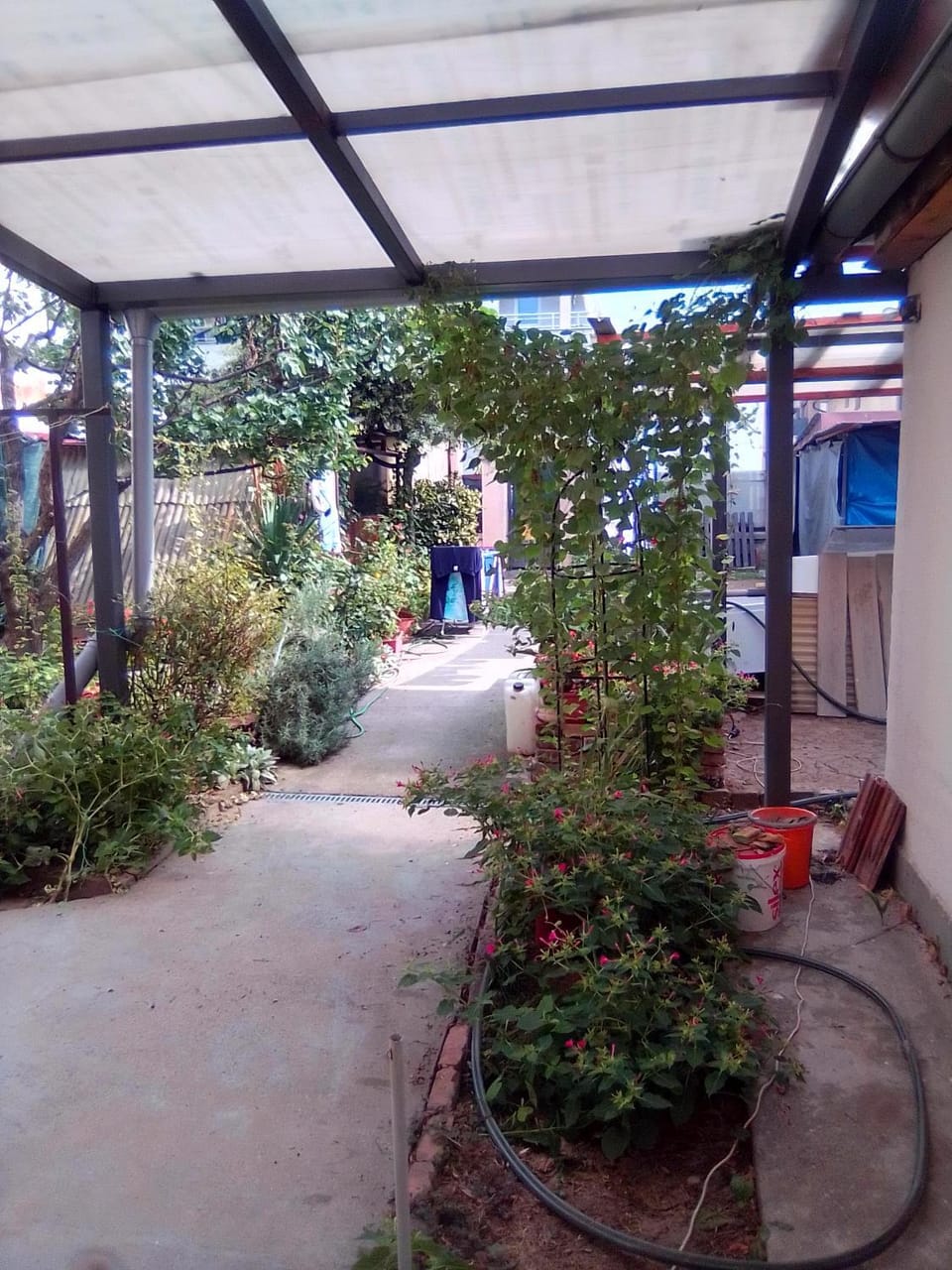 Home in flowers Apartment in Belgrade