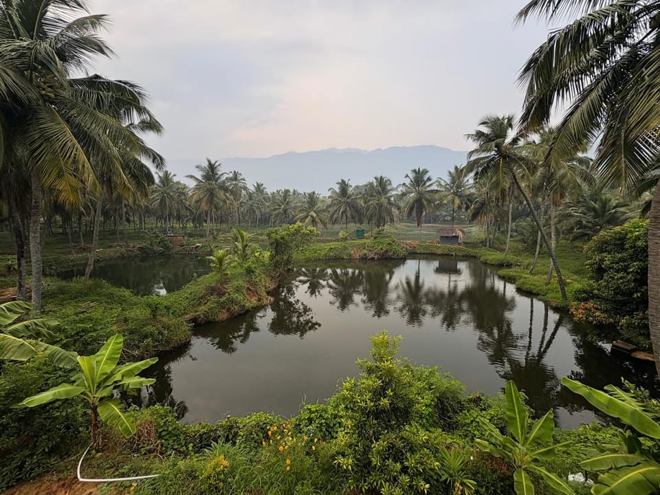 Natural landscape, Lake view