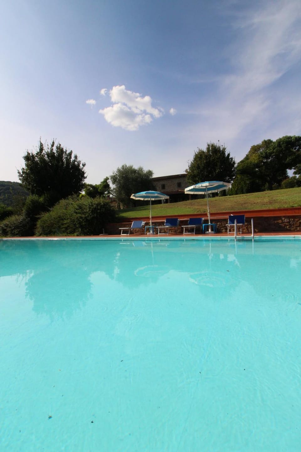 Garden, Solarium, Swimming pool, sunbed