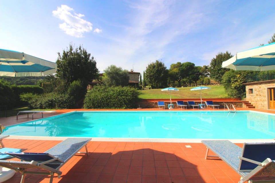 Garden, Solarium, Swimming pool, sunbed
