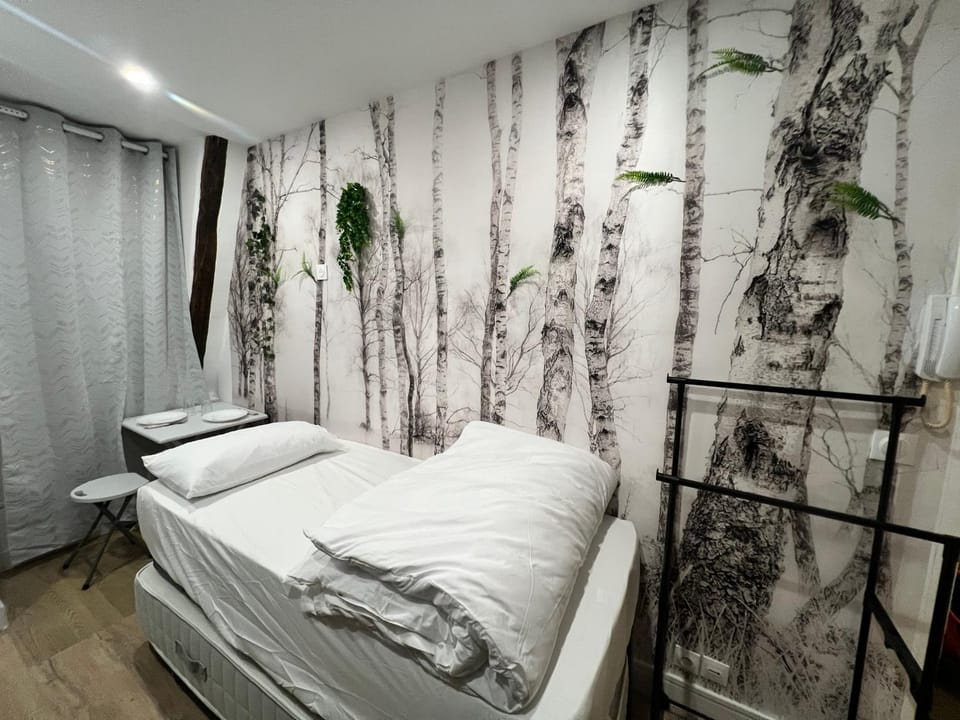 Batignolles, Montmartre Chambre 12m2 , Metro 13 et 14 Apartment in Paris
