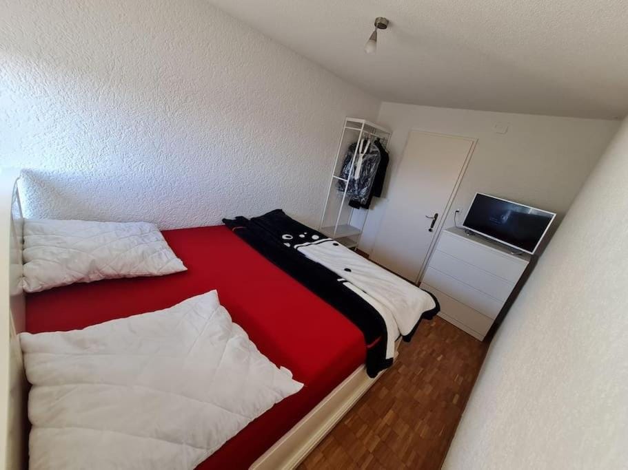 1 Beautiful Room in an 3-Bed-Room-Appart Apartment in Canton of Bern (Region)