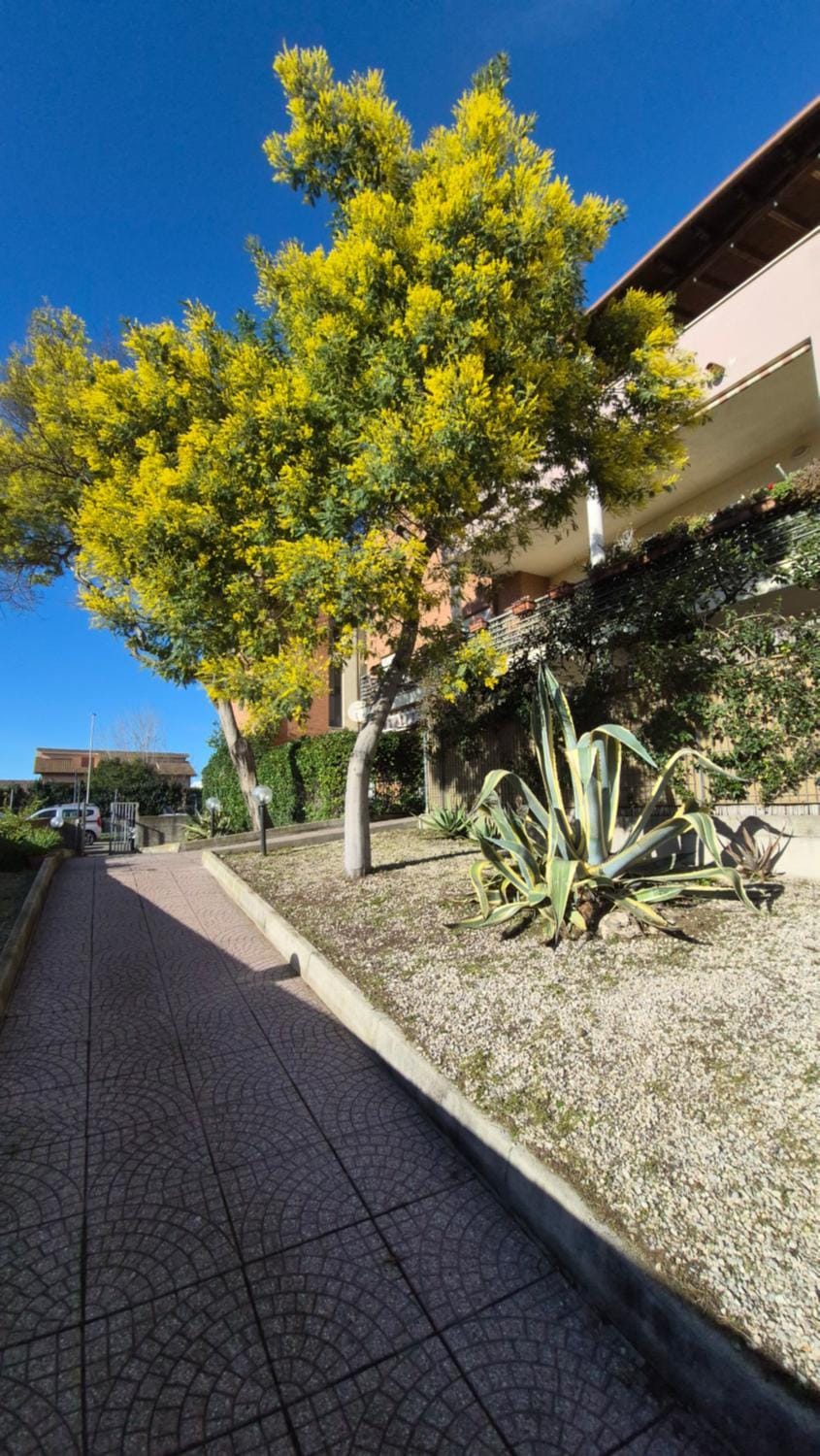 MiraSole Apartment in Lazio