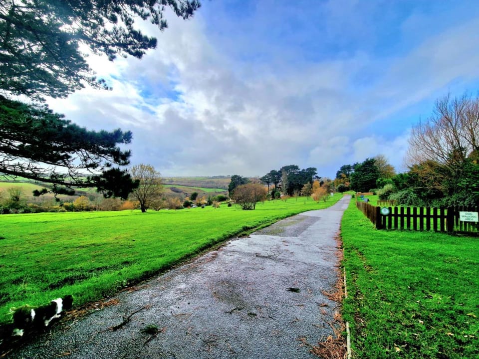 Natural landscape
