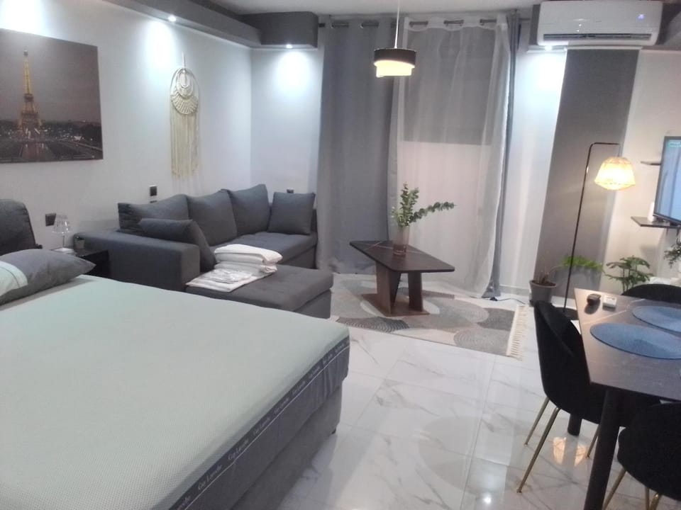 Bed, Living room, Photo of the whole room, Seating area, Dining area, Bedroom