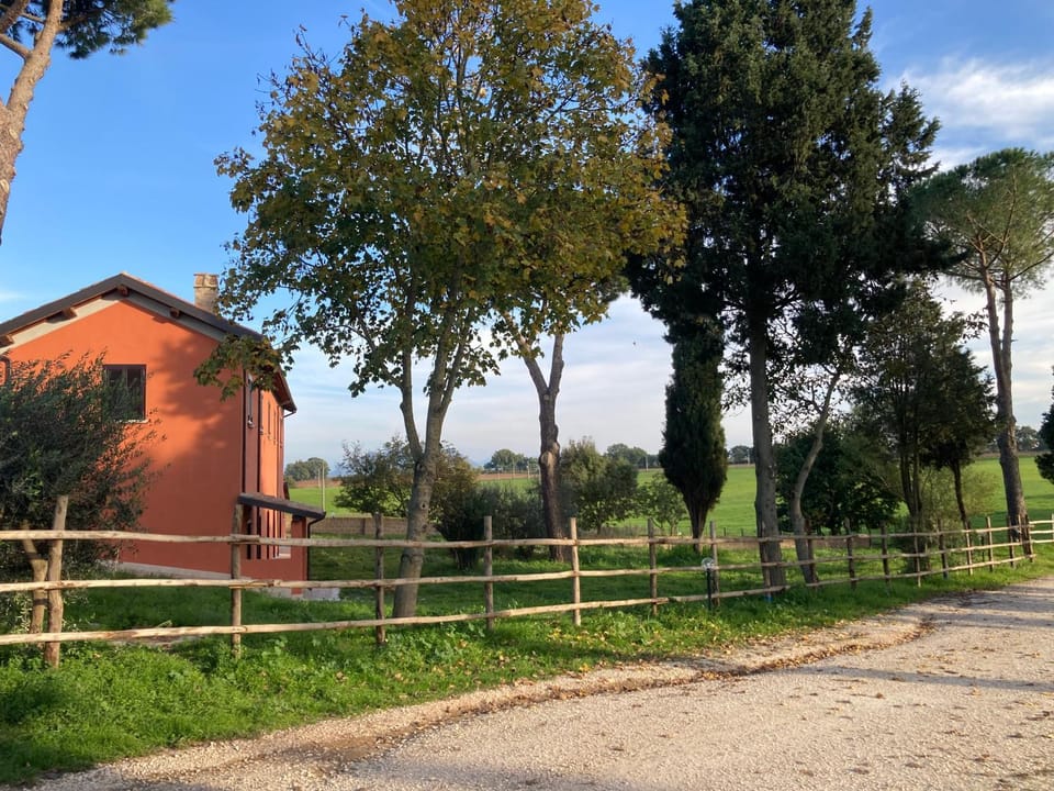 Natural landscape, Garden, Garden view