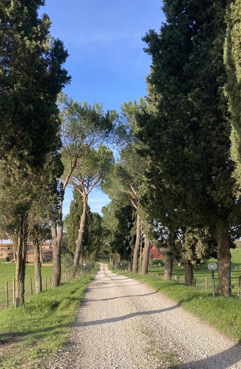 Natural landscape, Garden