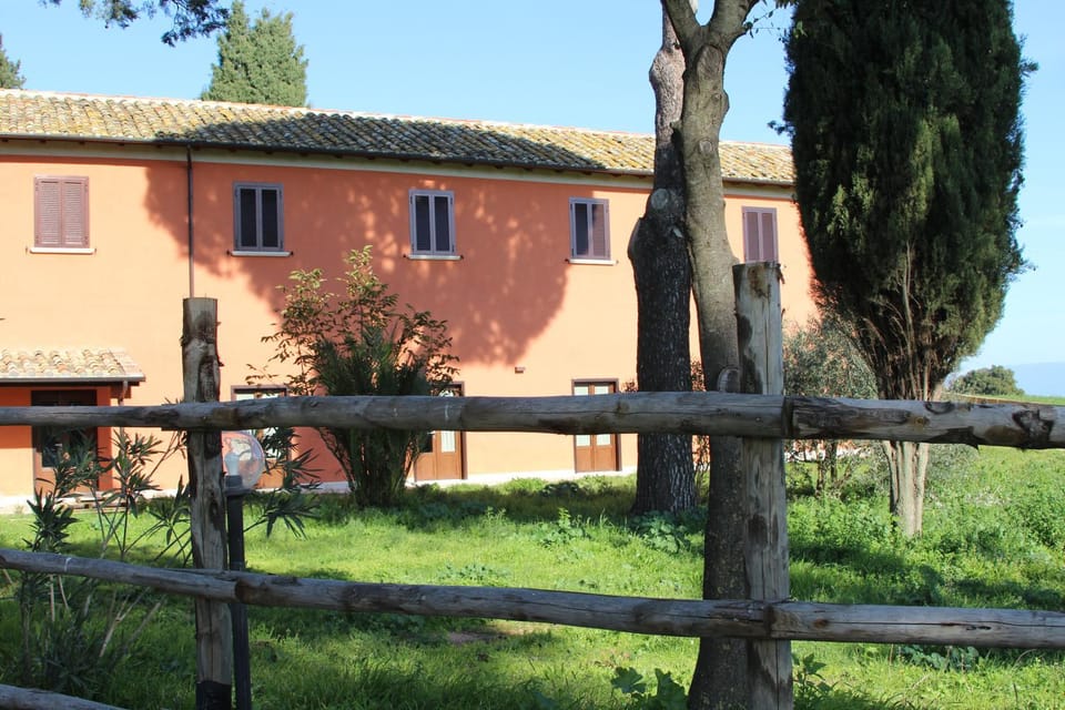 Property building, Garden, Garden, Garden view