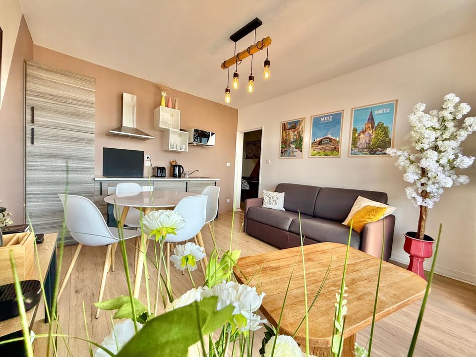 la terrasse du coislin Apartment in Metz