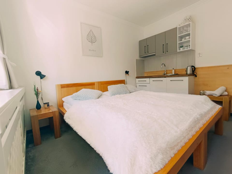 Kitchen or kitchenette, Photo of the whole room, Bedroom