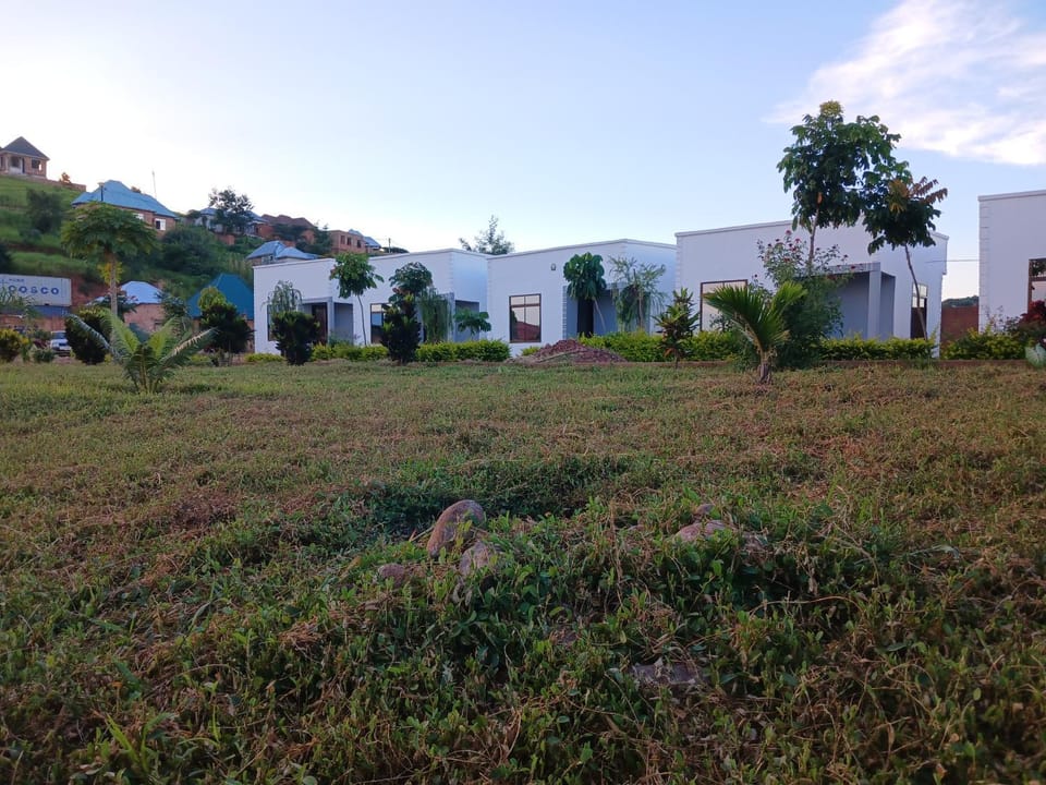 Natural landscape, Garden, Garden view