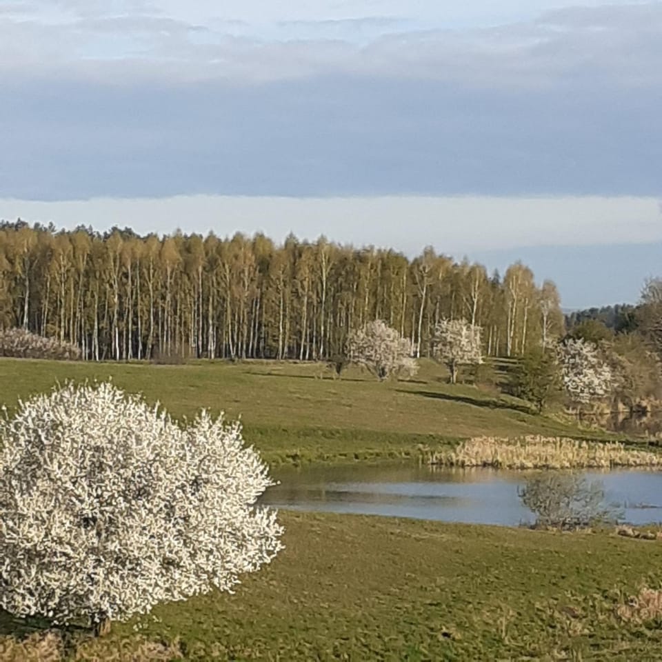 Spring, Day, Lake view