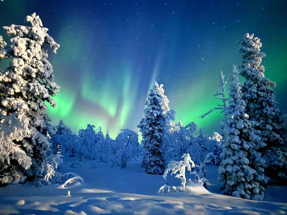 AuroraLevi Suites Utsuvaara Northern Lights Retreat, Ski-In-out, 2 ski pass included to price Apartment in Lapland