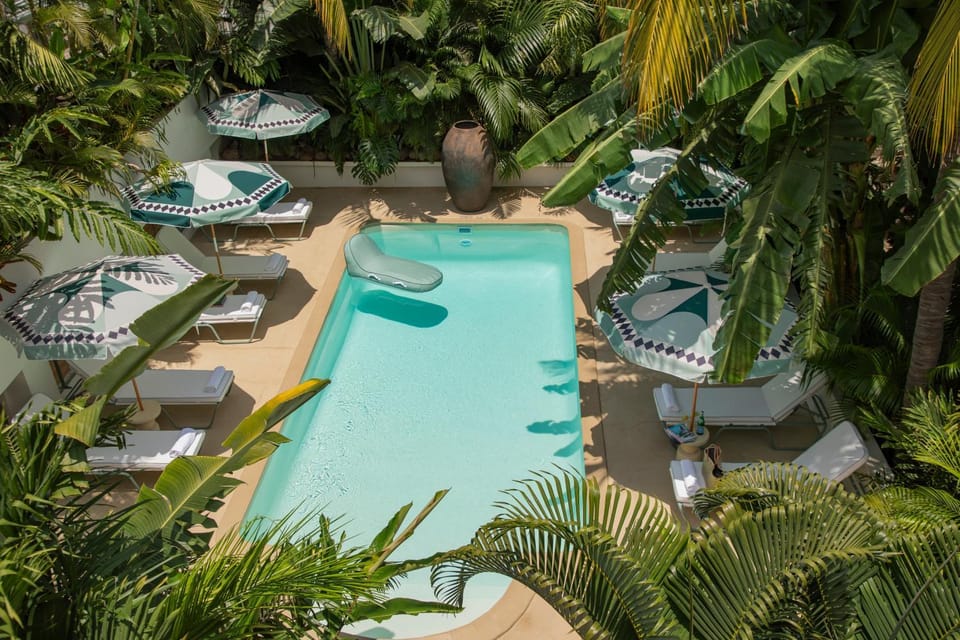 Day, Garden, Garden view, Pool view, Swimming pool, sunbed