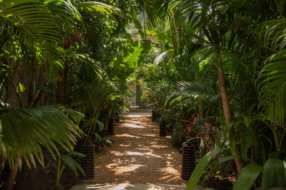 Day, Natural landscape, Garden, Garden view