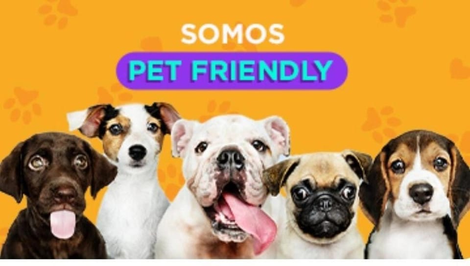 pet friendly
