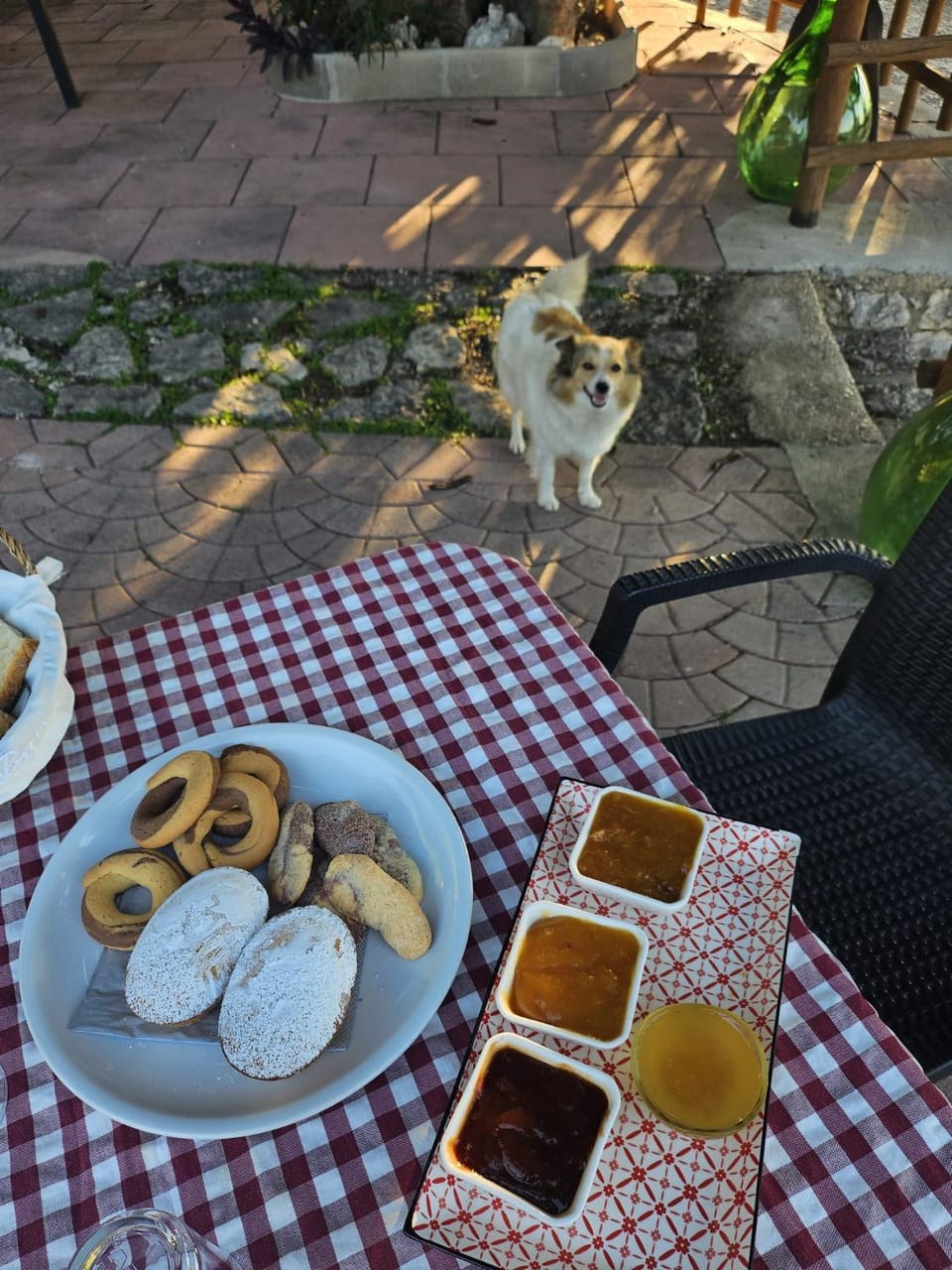 B&B La Scapola Bed and Breakfast in Province of Foggia