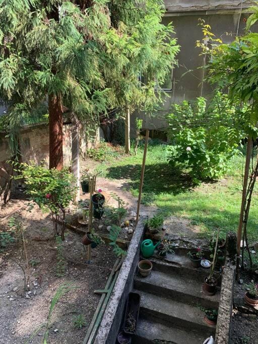 Garden, Garden view