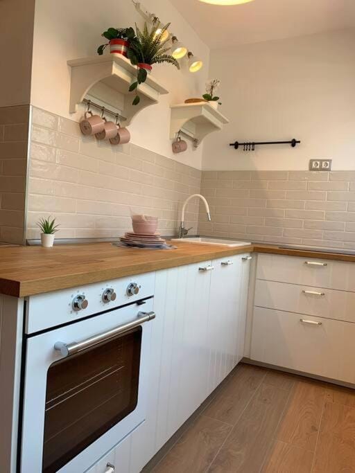 Kitchen or kitchenette, dishwasher, stove