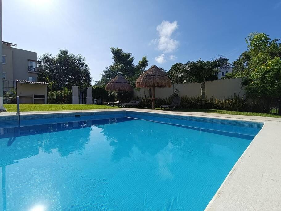Day, Pool view, Swimming pool