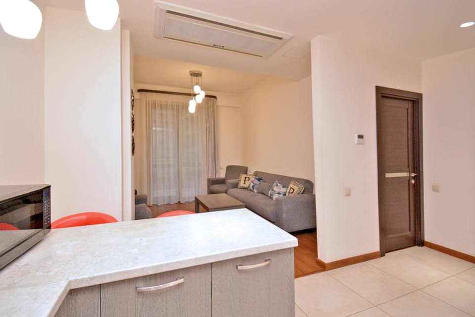 Living room, kitchen