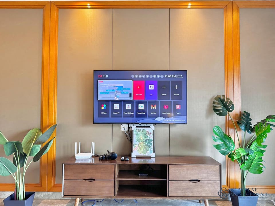 TV and multimedia