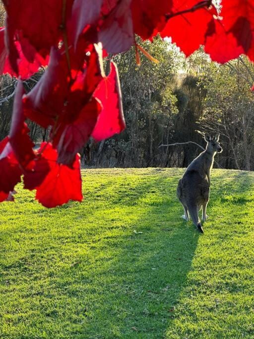 Peaceful getaway in stunning bush setting Country House in Victoria