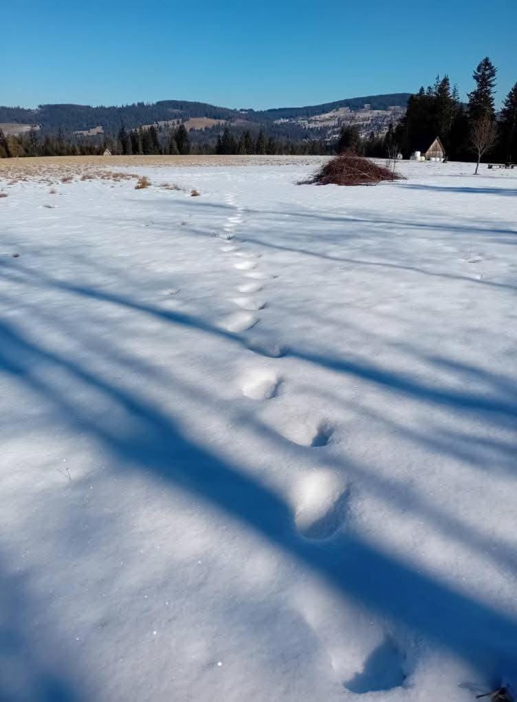 Chatka w Dolinie Chalet in Lesser Poland Voivodeship