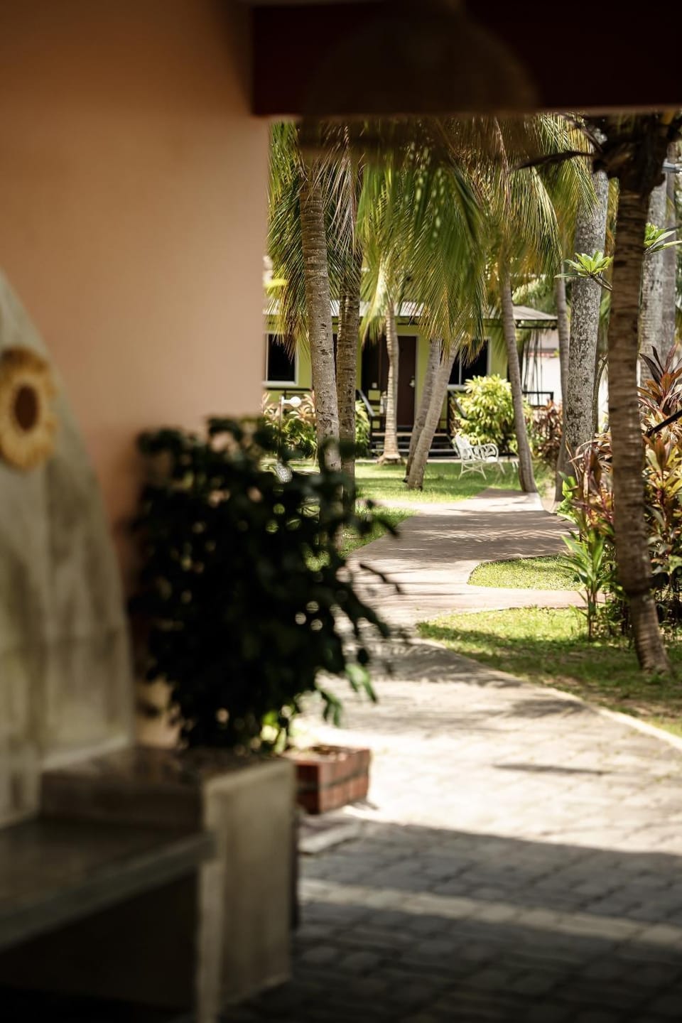 Garden view