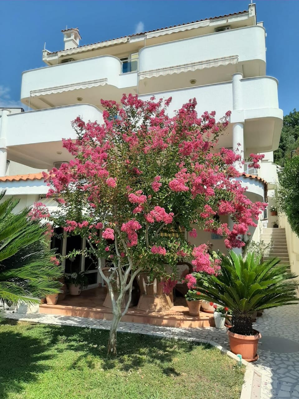 Property building, Garden