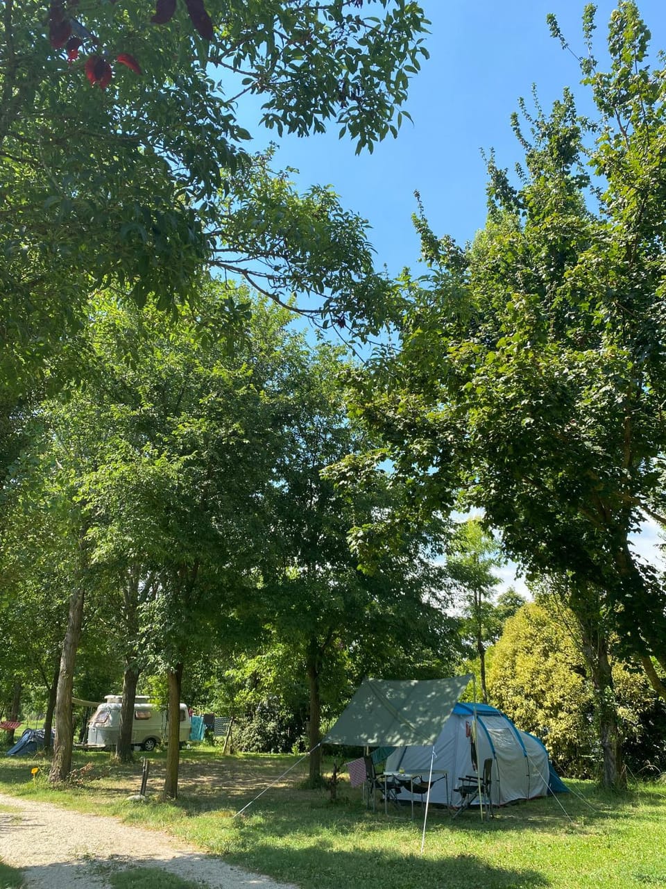 Natural landscape, Garden, Garden view