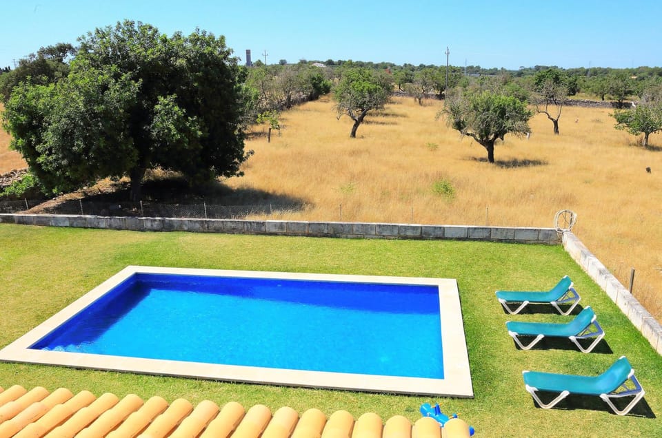 Spring, Day, Natural landscape, Garden, Garden view, Pool view, Swimming pool, sunbed