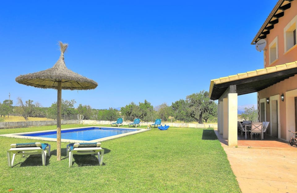 Patio, Spring, Day, Garden, Garden view, Pool view, Swimming pool, sunbed