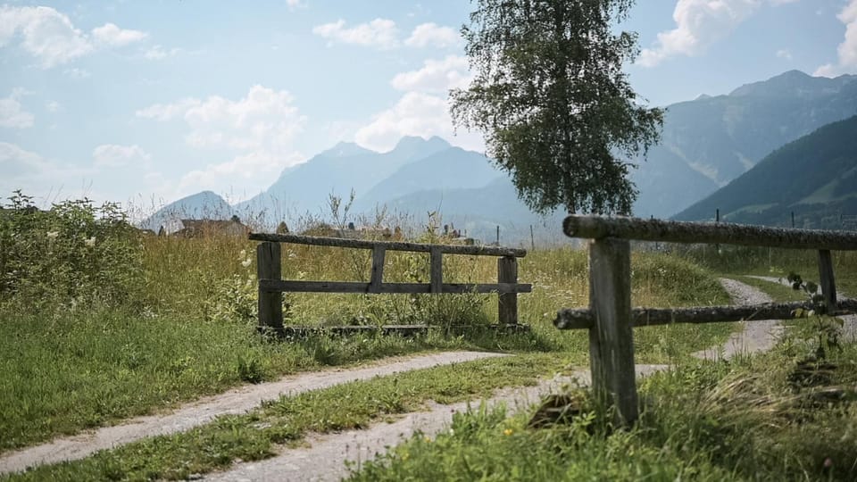 Pension Reiterhof Aigner Farm Stay in Salzburgerland