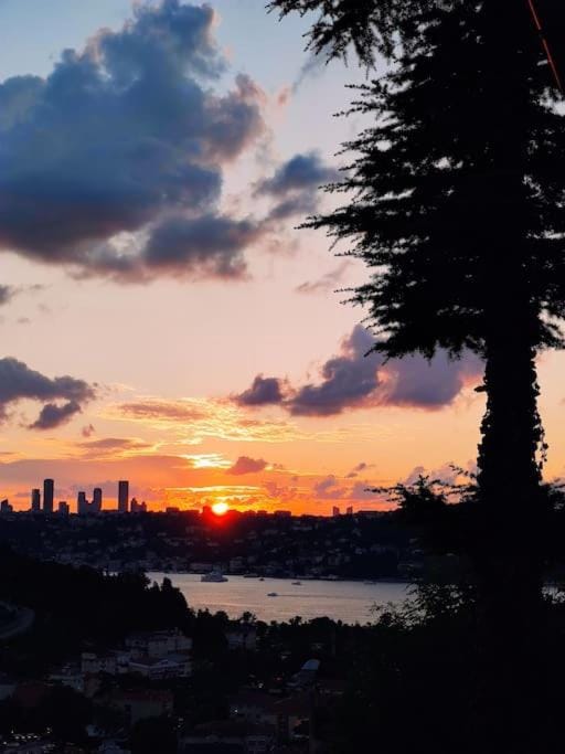 a beautiful house on the Near the Bosphorus in Istanbul wonderful garden House in Istanbul