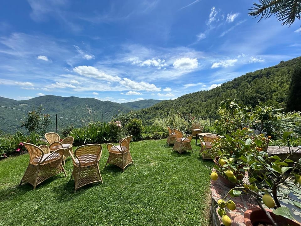 Natural landscape, Garden, Garden view, Mountain view