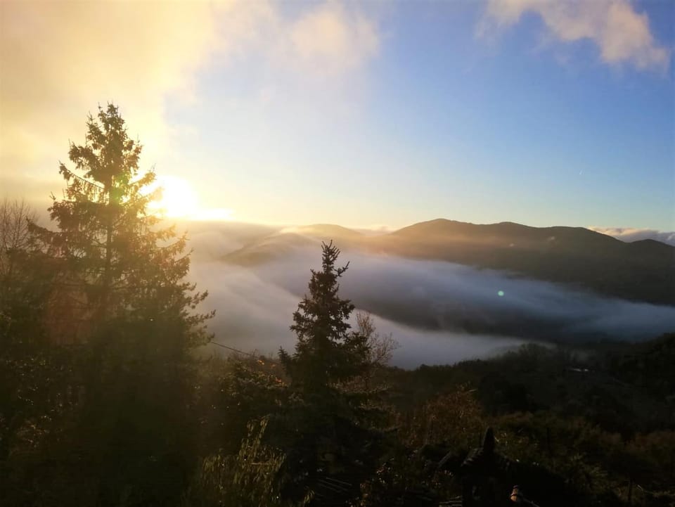 Natural landscape, Garden, Mountain view, Sunrise