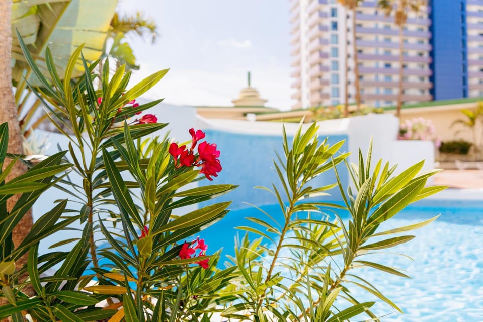 Property building, Day, Garden, Garden view, Pool view, Swimming pool