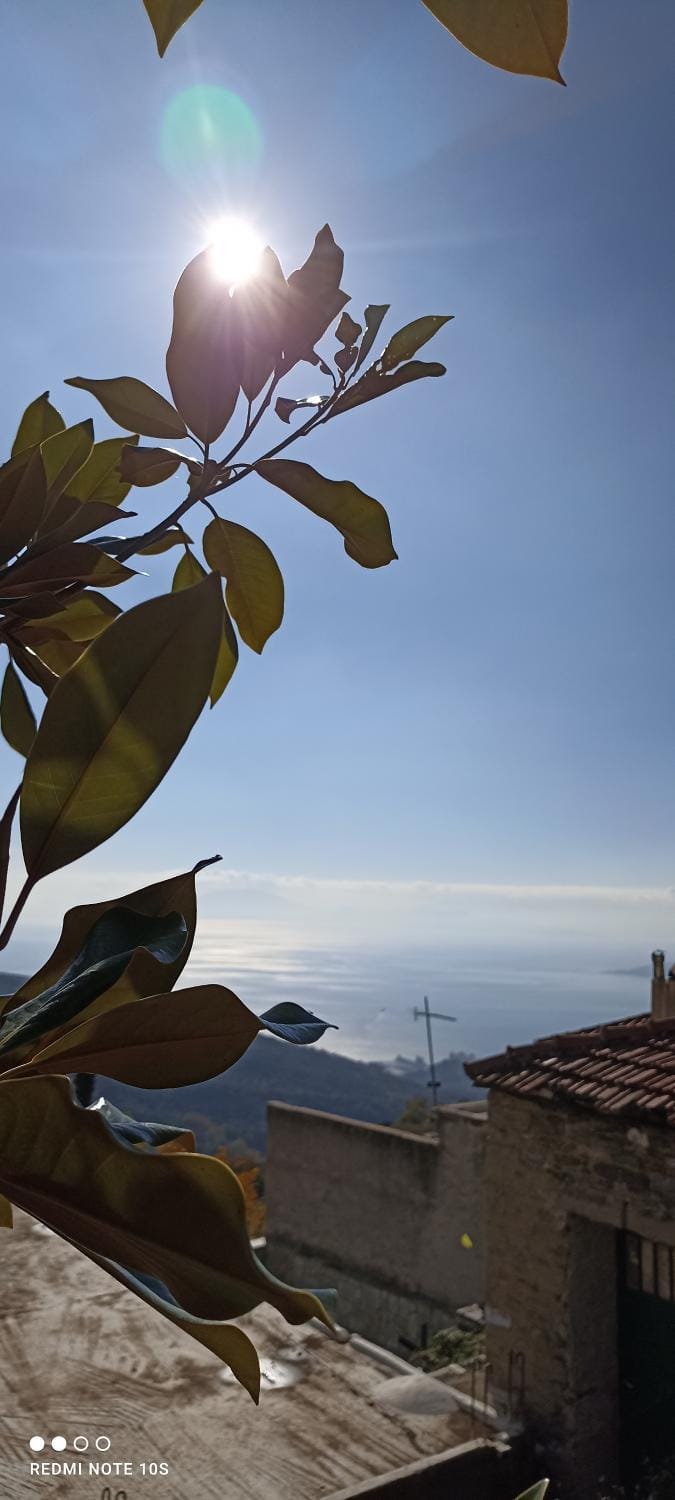 Rose Garden Cottage Apartment in Magnesia Prefecture, Greece