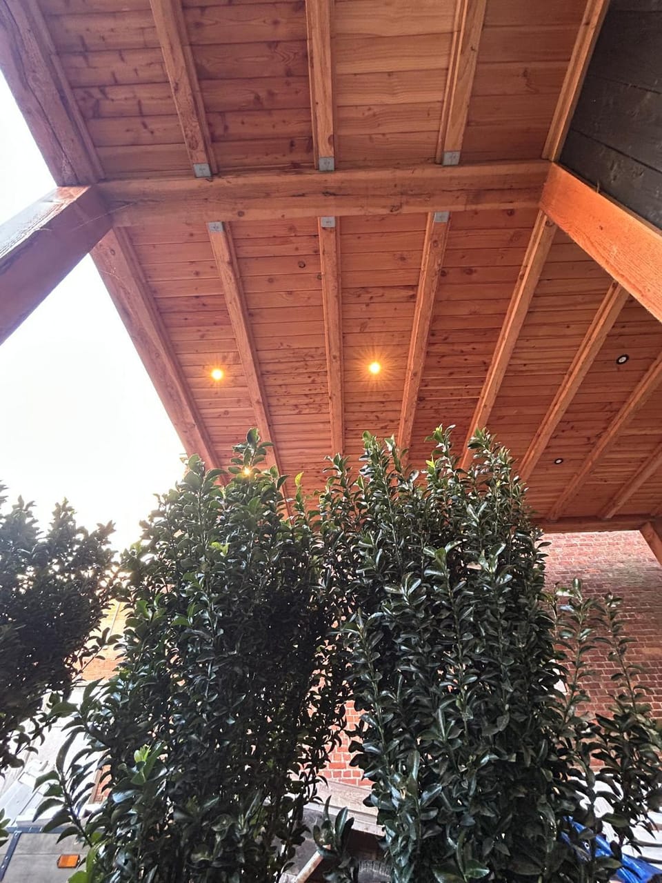 Balcony/Terrace, Balcony/Terrace