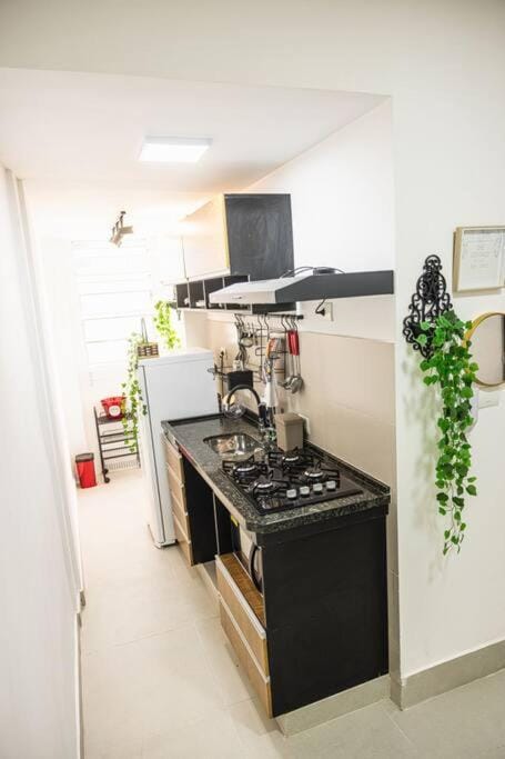 Kitchen or kitchenette, microwave, stove