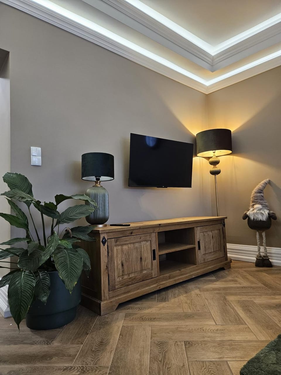 TV and multimedia
