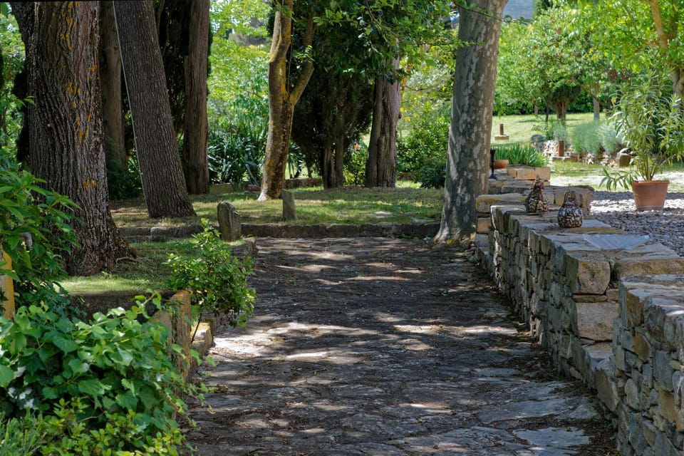 Natural landscape, Garden, Garden, Garden view