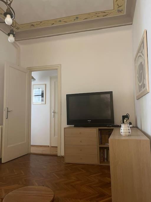 central apt whit a balcony and free parking space Apartment in Novi Sad