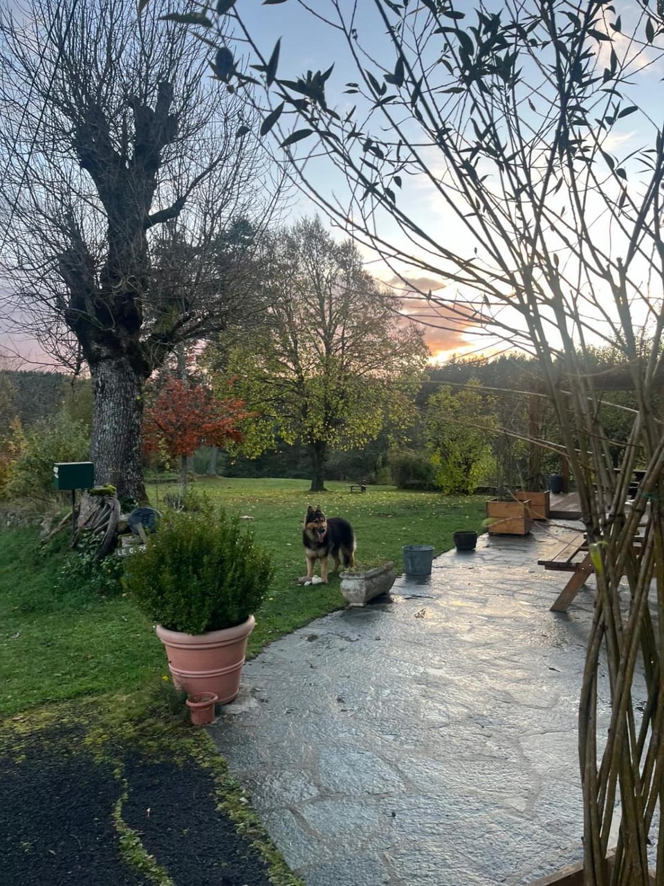 Garden view