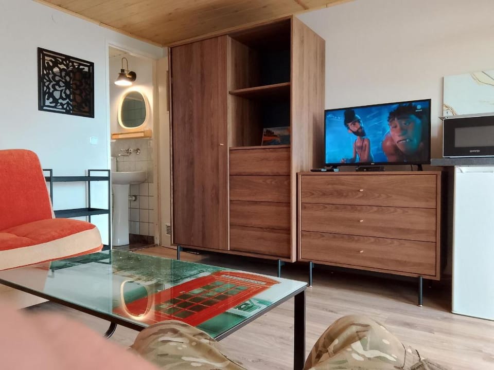 TV and multimedia
